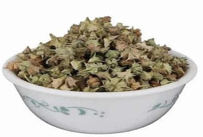 gokhru benefits for health and sexual disorder