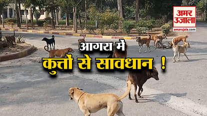 patient scared from dogs in Agra mental and health hospital asylum