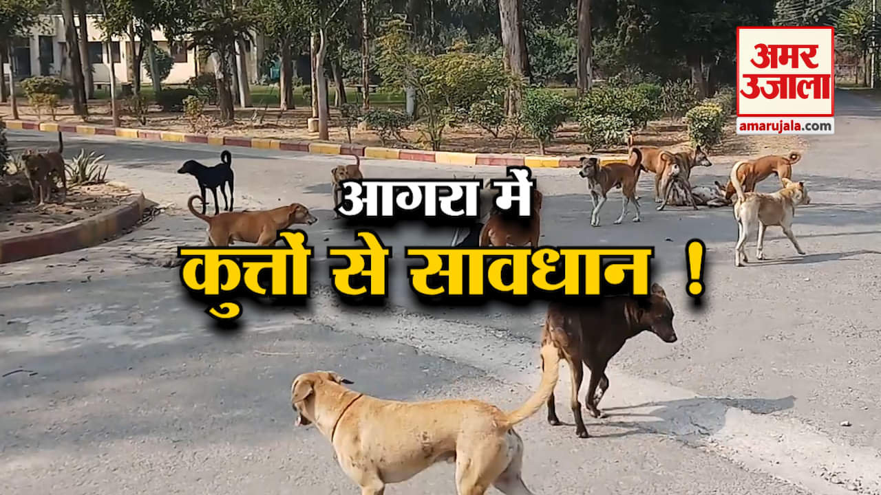 इंडिया न्यूज