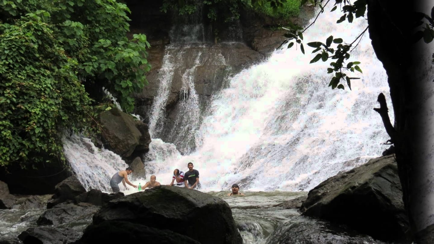 top five jungle tracking in india