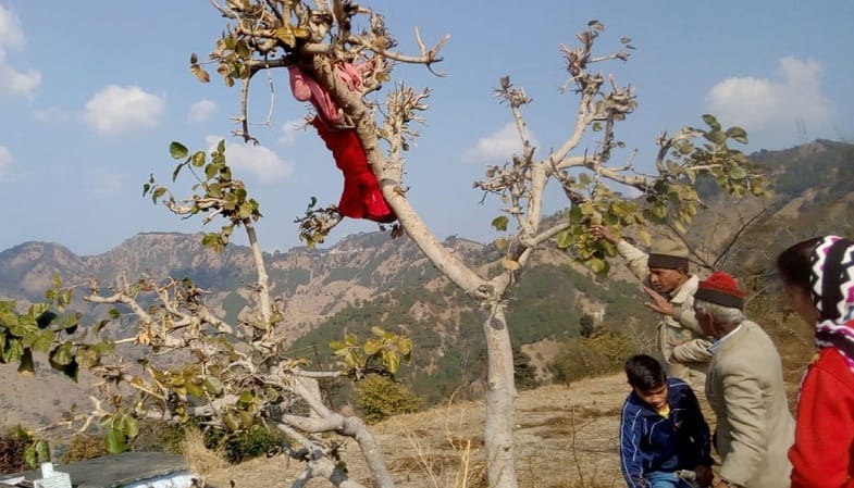 The angry woman did not become the road to the tree