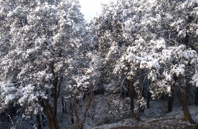 The first snow in the high hills of the district