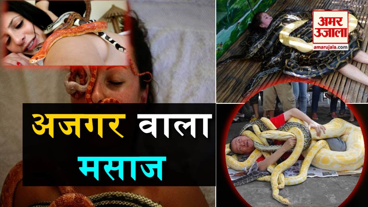 डिजाइन पिक्चर