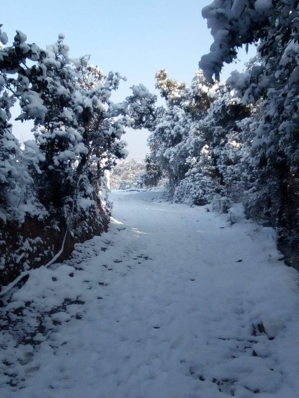 uttarakhand weather rain and snowfall can be expected in these four districts