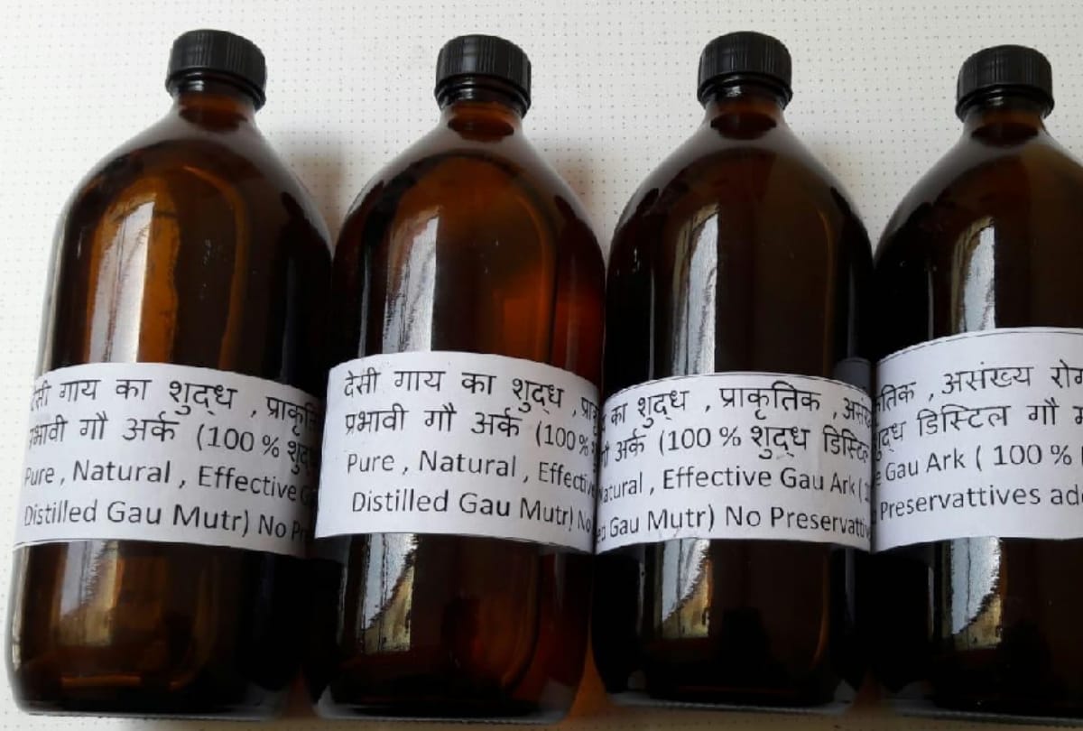 Kumbh Mela 2019: Bijnor district Cows Ghee Dung will be taken to Mahakumbh