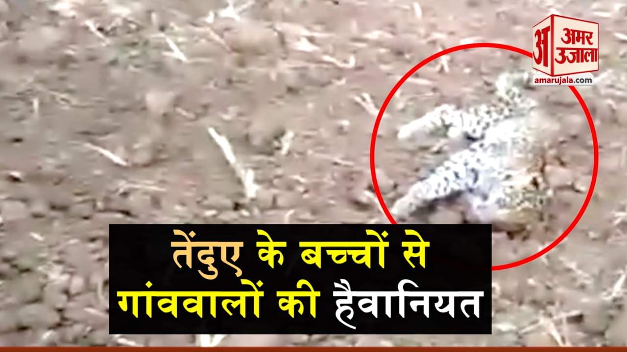 प्रतीकात्मक तस्वीर