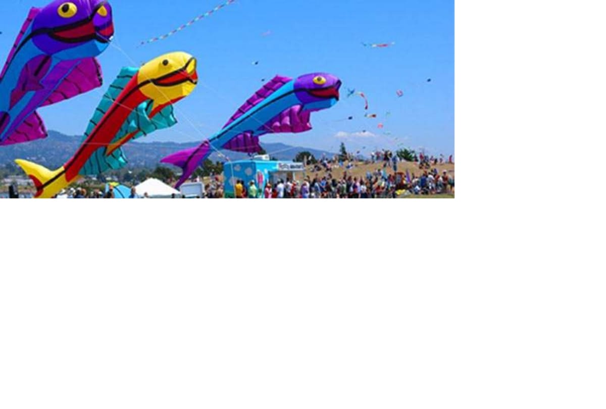 Makar Sankranti 2019 Kite Flying festival is celebrated in different ways all around the World