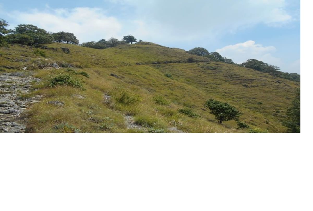 top trekking places and best tourist destinations near delhi