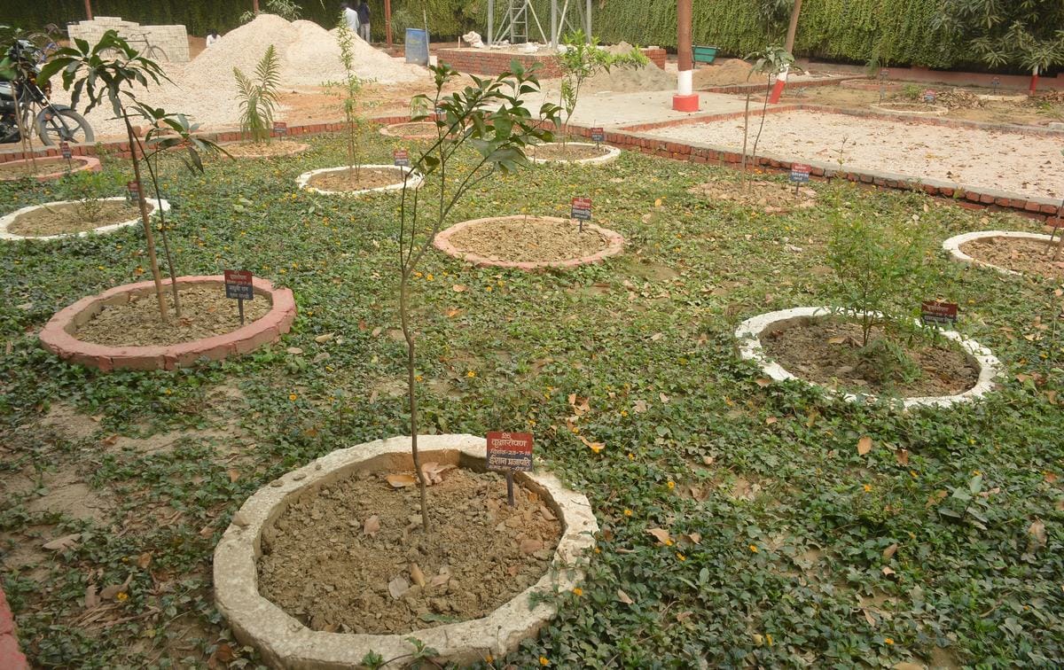 Every policeman take responsibility for one plant