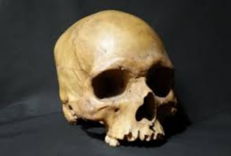 Freedom Fighter Sepoy Alam Beg Skull found in England, Indian Rebellion of 1857