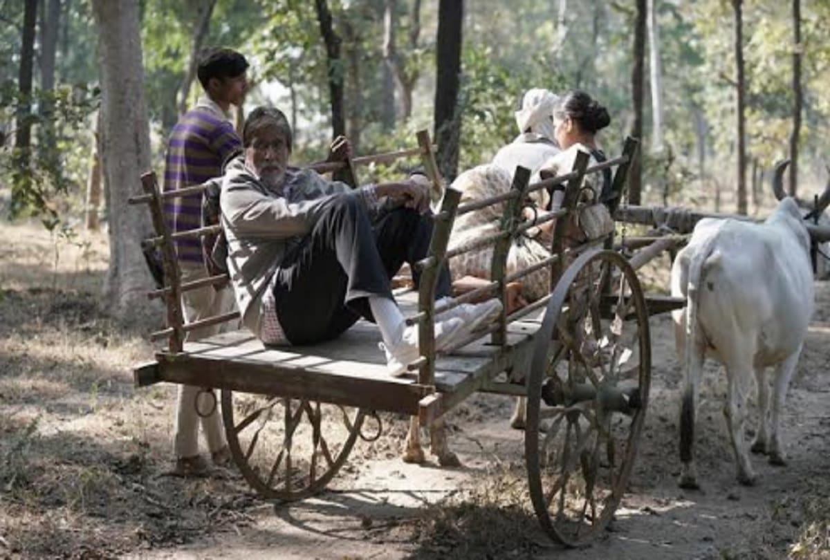 Amitabh Bachchan rides bullock cart