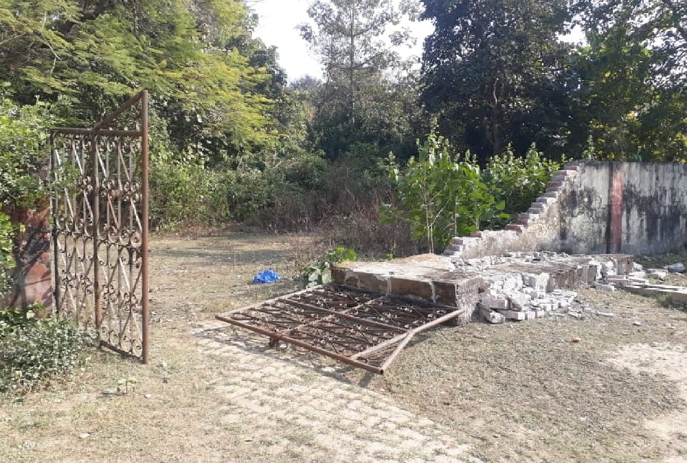 wild elephants come in a coloney in bahraich.