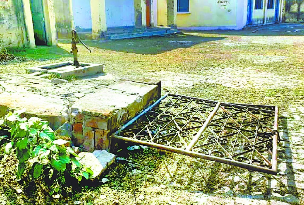 wild elephants come in a coloney in bahraich.
