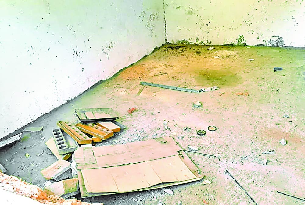 wild elephants come in a coloney in bahraich.