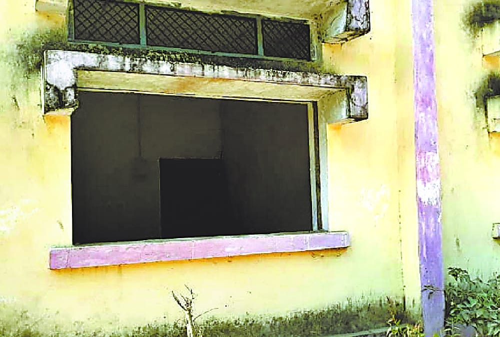 wild elephants come in a coloney in bahraich.