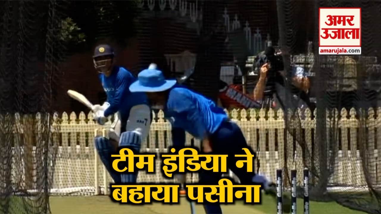 क्रिकेट