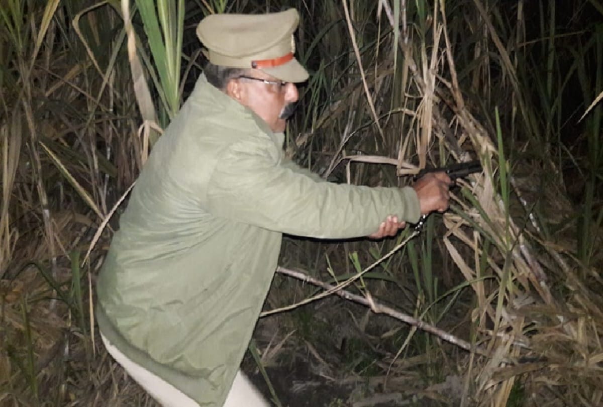 Kairana escape issue: 1207 encounter in Meerut zone and 45 crooks killed
