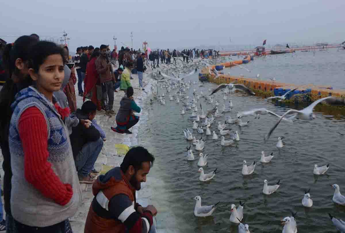 Makar sankranti 2019 religious importance and custom