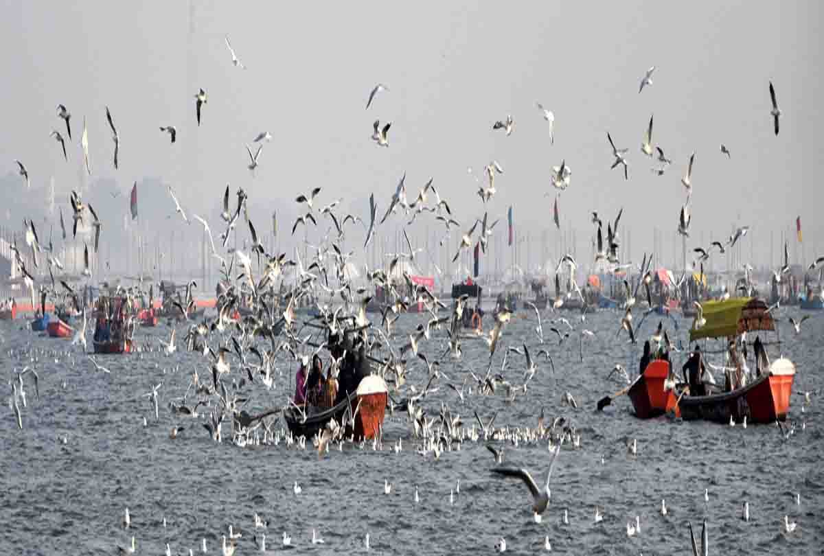 10 reason, Why you want Prayagraj Kumbh Mela 2019
