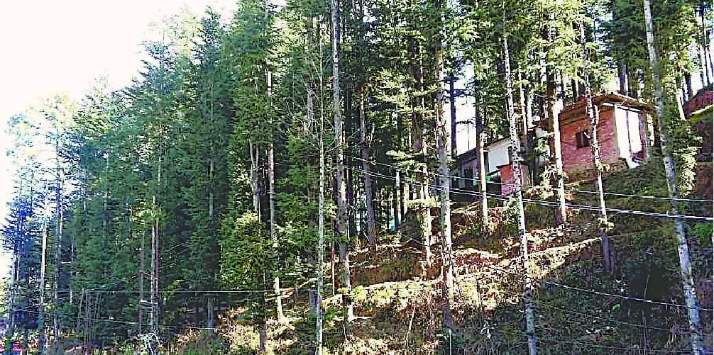 Encroachment on government land