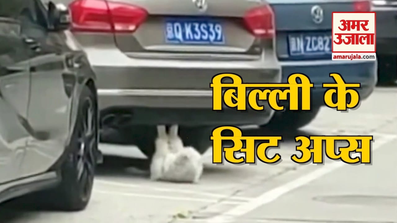 viral video