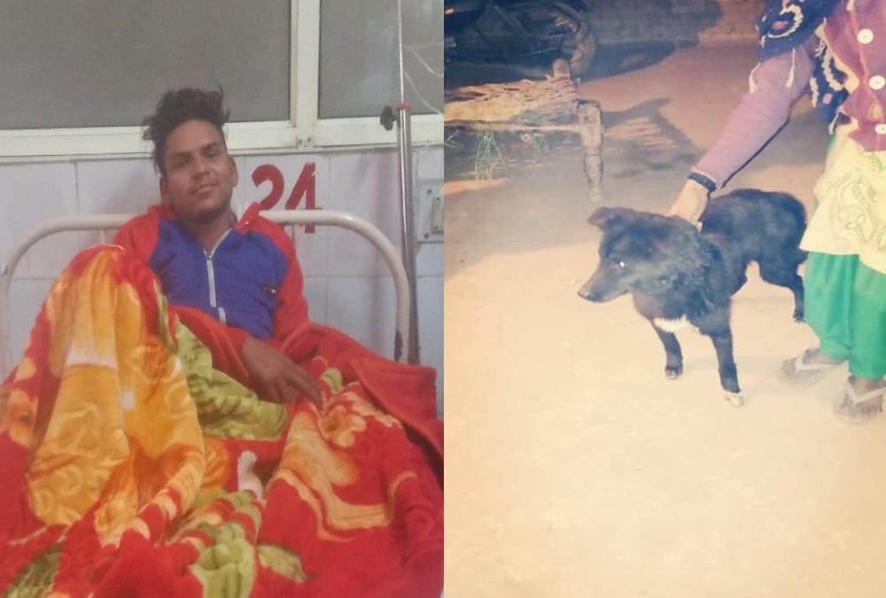 Dog save owner life from killer miscreants in roorkee