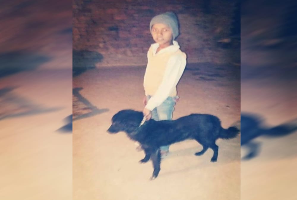 Dog save owner life from killer miscreants in roorkee