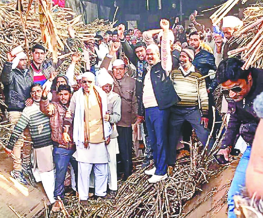 'Tea-water' assured instead of sugarcane payment
