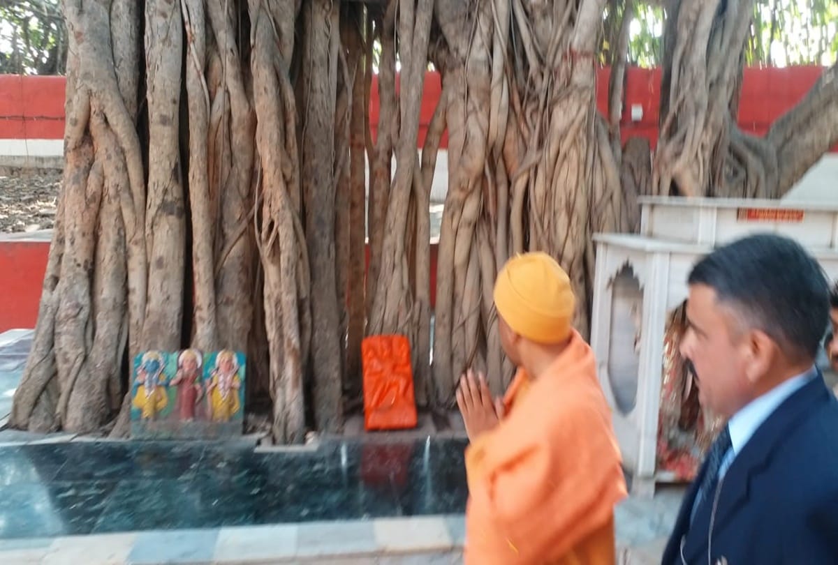 kumbh 2019: Devotee will not to see Akshayvat in Mauni Amavasya snan in prayagraj