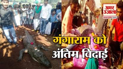 after crocodile gangaram dead village people will built temple for him