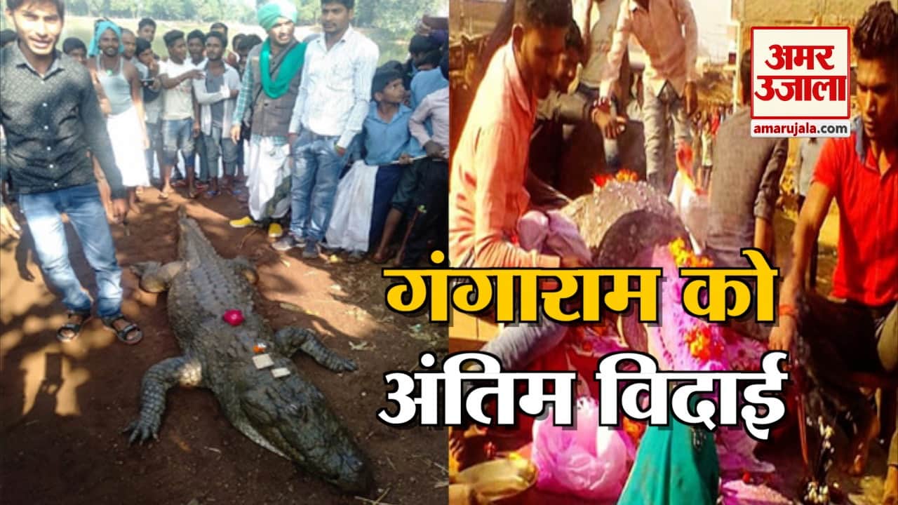 जानिए आखिर एक मगरमच्छ के मरने पर क्यों रो रहा है पूरा गांव