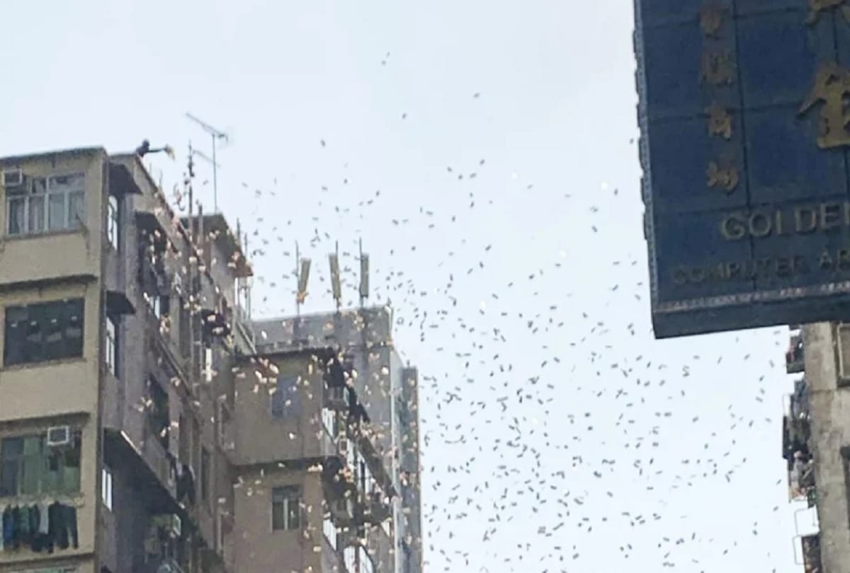 24 year old bitcoin millionaire boy throws cash from terrace in air video viral in china hong kong