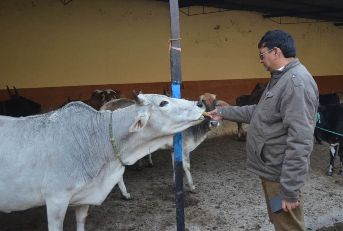 know best remedies to remove loan quickly