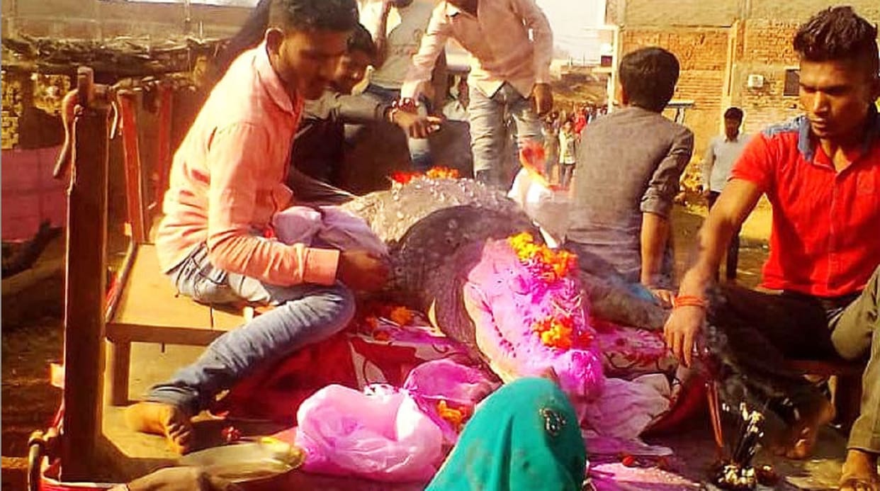 Crocodile Gangaram dead bemetra village cried, will build temple of Crocodile in bawa mohtara raipur