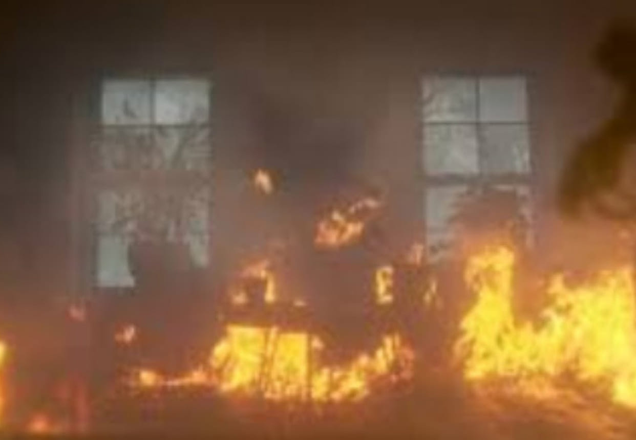 80 animals die due to fire