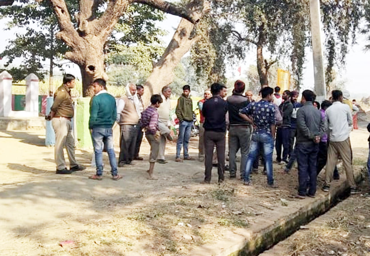 cattle problem in kanpur and chitrakoot
