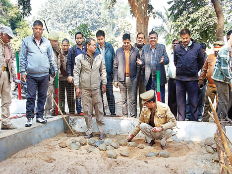 327 Turtles recovered, four smugglers arrested