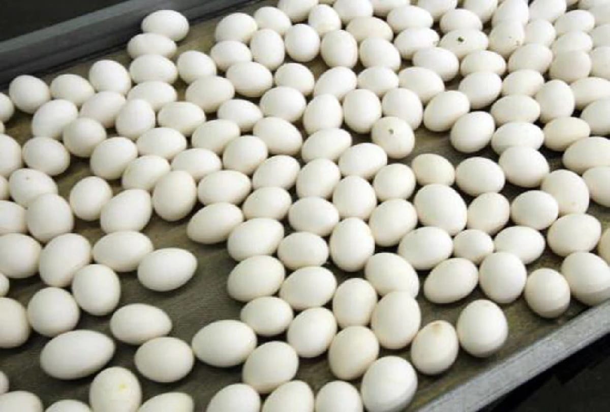 health benefits of eggs during diabetes