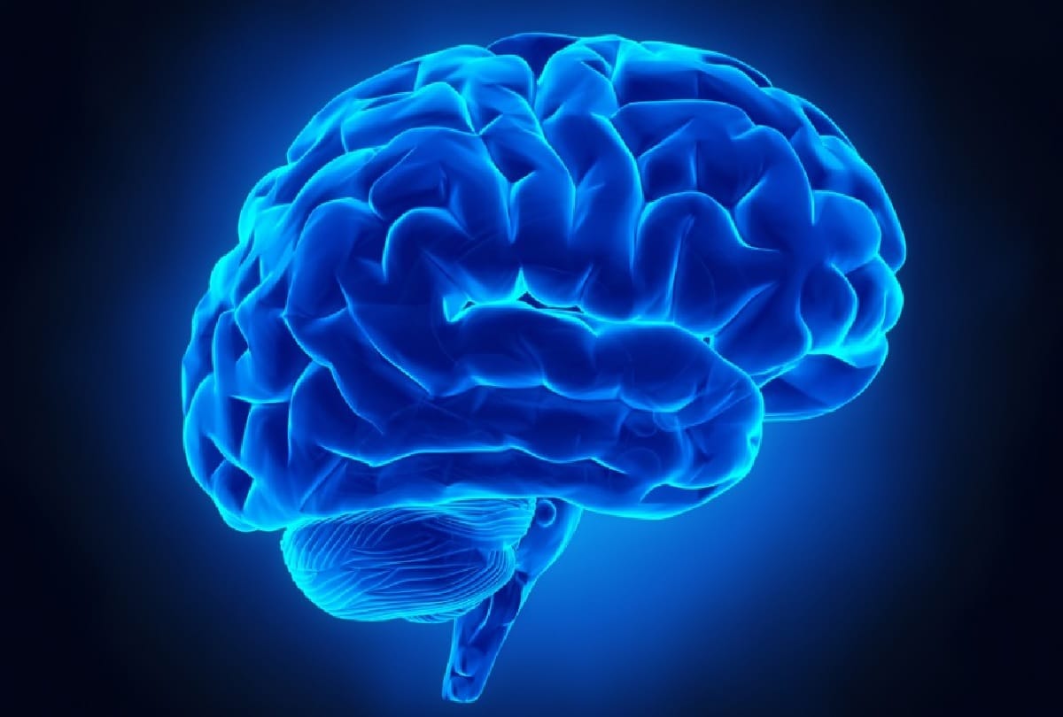These tips can help you to have healthy heart,brain and stomach