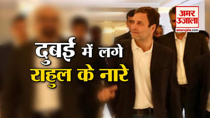 top news including rahul gandhi dubai visit