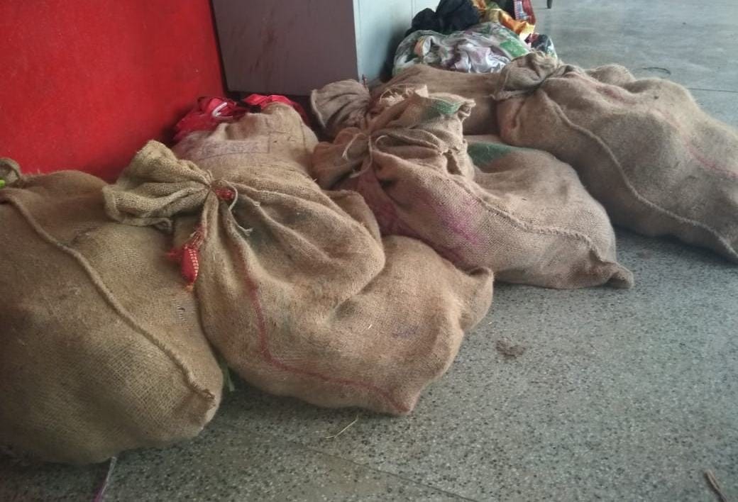 RPF recovered tortoise in varanasi and smuggler arrested