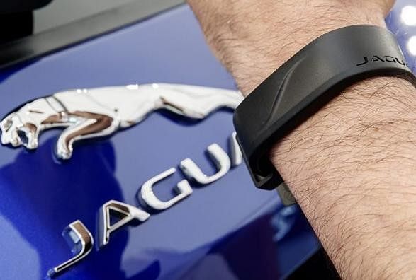 Jaguar Activity Key Wristband Boxed for sale online  eBay