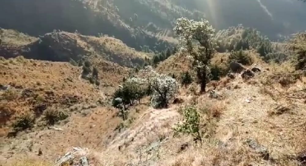 car fell into gorge at dhanaulti mussoorie road three death