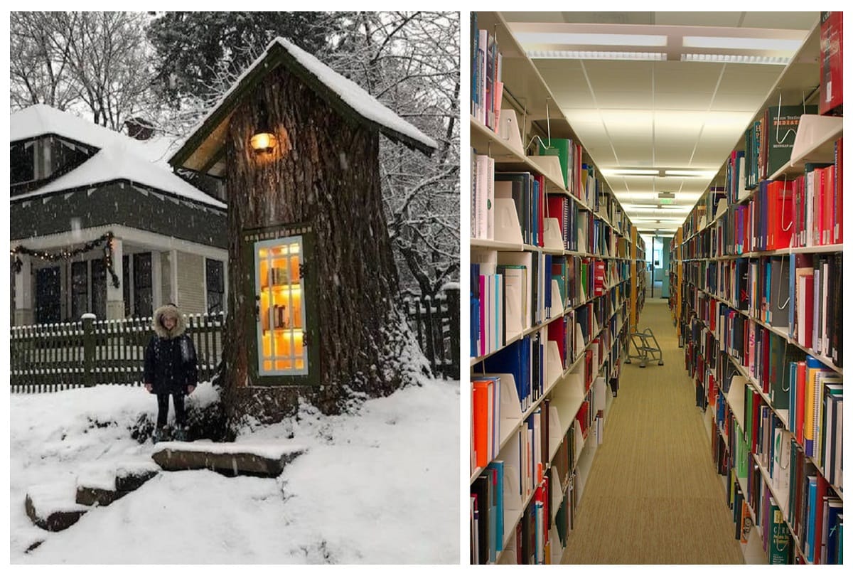 woman sharalee armitage howard turned 110 year old dead tree magical little free library goes viral