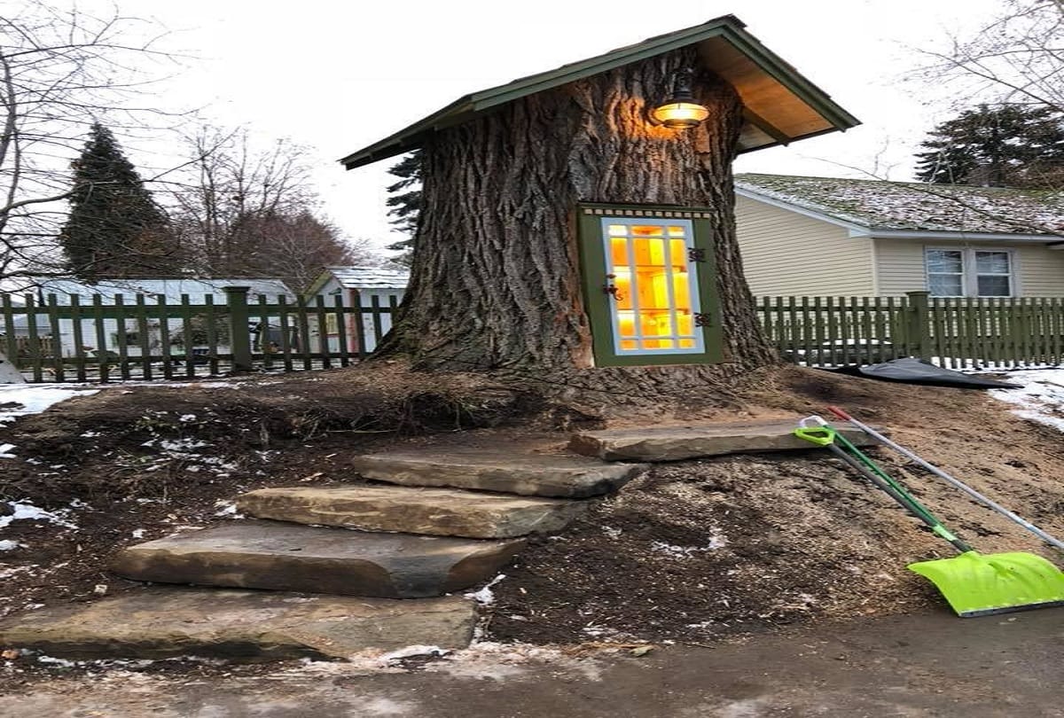 woman sharalee armitage howard turned 110 year old dead tree magical little free library goes viral