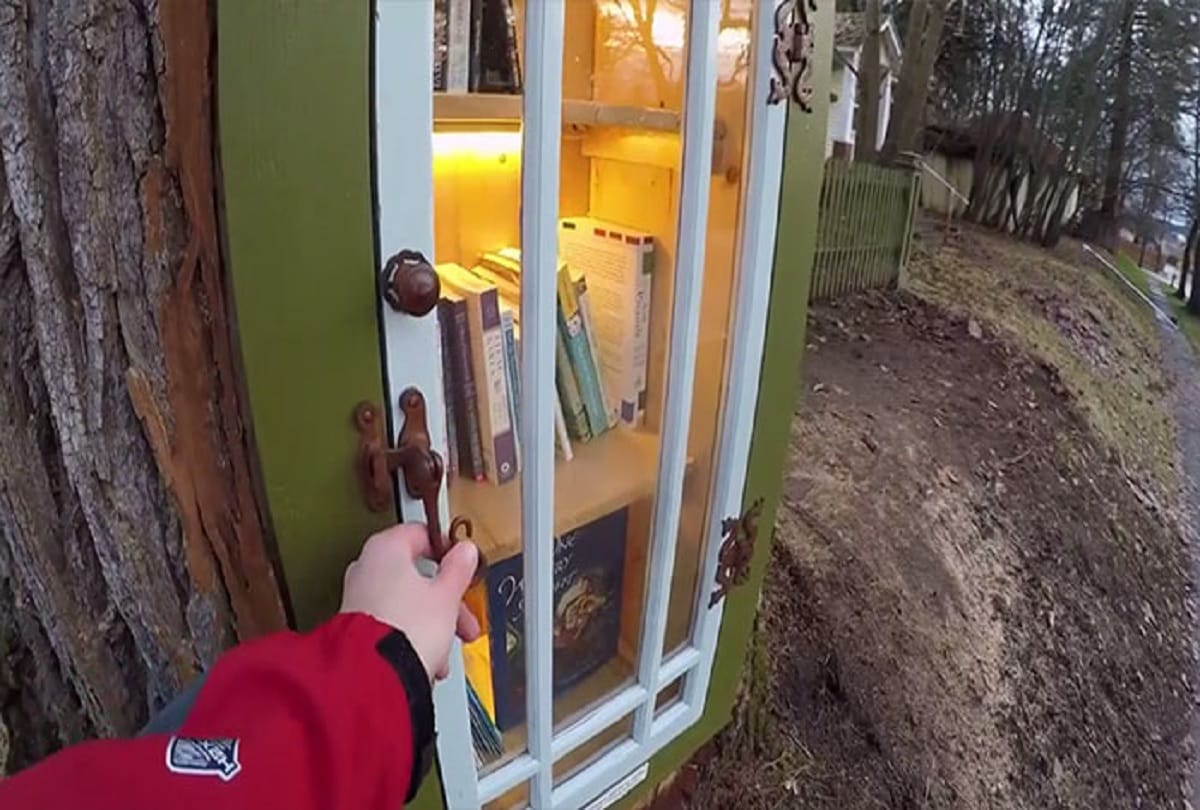 woman sharalee armitage howard turned 110 year old dead tree magical little free library goes viral