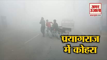 FOG IN PRAYAGRAJ OF UTTAR PRADESH