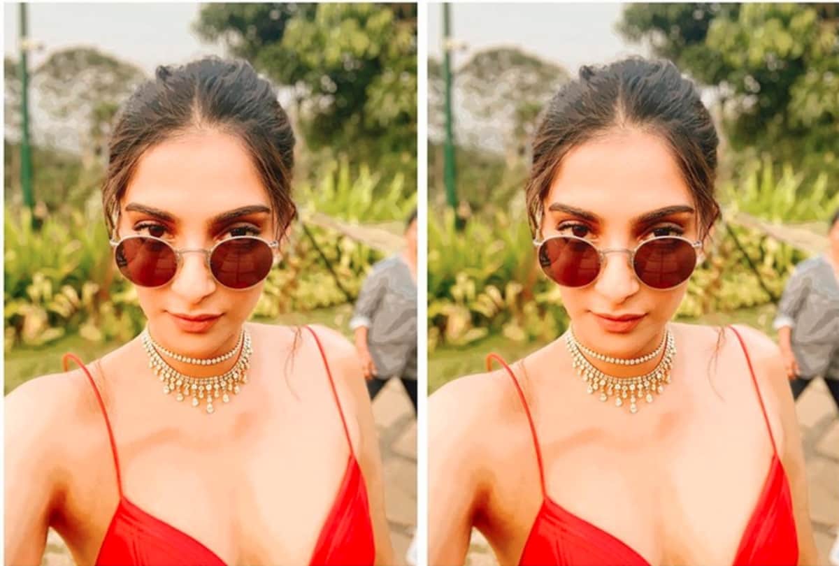 Sonam Kapoor Expresses Her Pride For Nation gets trolled on social media