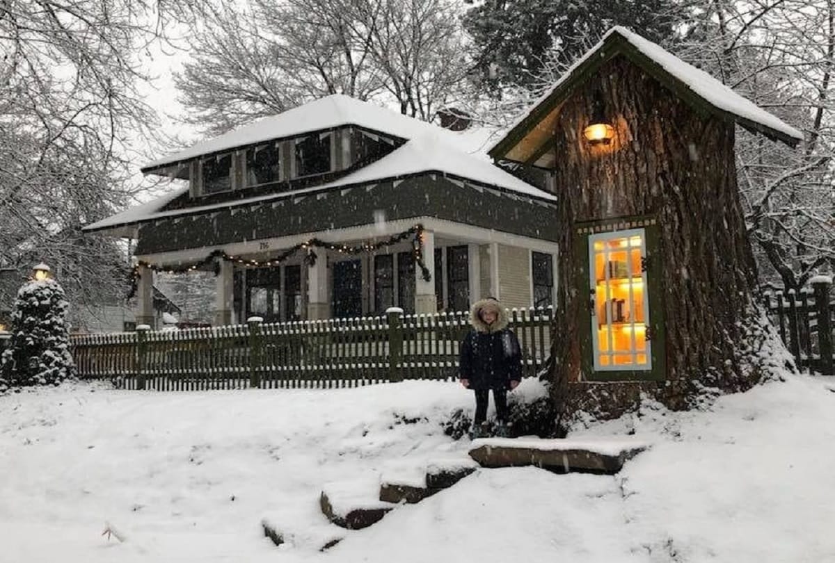 woman sharalee armitage howard turned 110 year old dead tree magical little free library goes viral