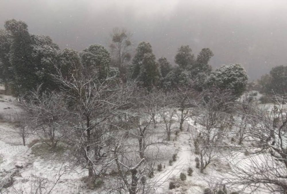 Snowfall in badrinath and hemkund sahib 2019 photos